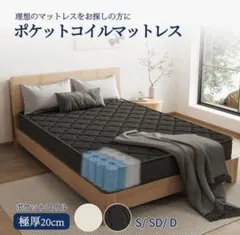 Item thumbnail for item 447a16b4-d9f4-4fd7-9cc0-3e71446f5d37