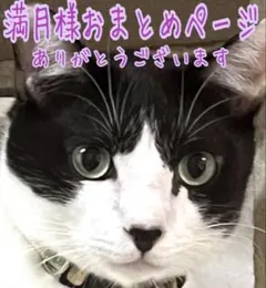 満月様おまとめページ