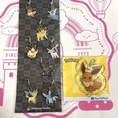 未開封　全国ずかん　メタルチャーム　ブイズ　イーブイ セット　ポケモン　ポケセン