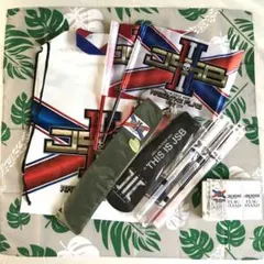 JSB3 ビニールバッグ　フラッグ　旗　ライブ　セット　グッズ　参戦　三代目