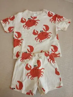 zara カニ　セットアップ　3years 98cmのサムネイル