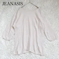 ジーナシス 透かし編みニット 長袖 ベージュ F 無地 麻 綿 メッシュ