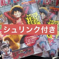 ワンピースマガジン 20号 プロモ　ルフィ　未使用　2冊　ワンピースカード④