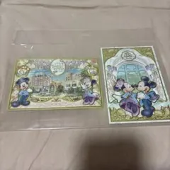 ディズニー ポストカード 2枚　ファンタジースプリングス
