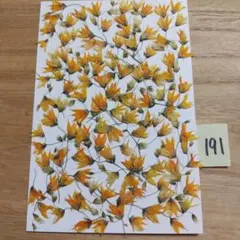 Item thumbnail for item 5f15fe29-4e0f-4a9c-9680-1bc2e89997c5