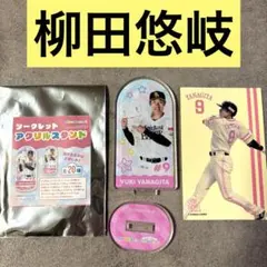 柳田悠岐 シナモ アクスタ ステッカー ピンクフルデー 2025 シークレット