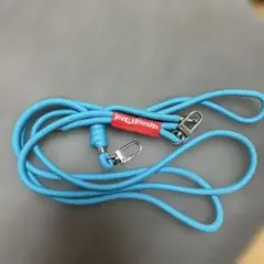 VIVALAROCK2024 スマホショルダーストラップ ライトブルー