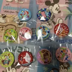 ディズニー 刺繍缶バッジ2 10種10個セット ビスケット 準コンプリート