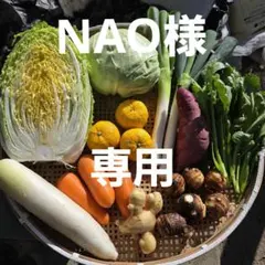 NAO様専用ページです❣️