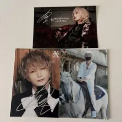 luz ブロマイド 写真集 まとめ売り luz ブロマイド 15枚 セット - メルカリ