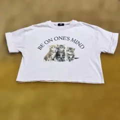 DAT 子猫プリント Tシャツ 140cm