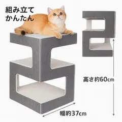 Item thumbnail for item 3cbc8afd-e583-43fd-98da-6241dc527276