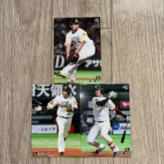 Item thumbnail for item 27c2f49f-ff89-4747-8271-1c6d11fe15a1