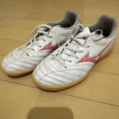 モナルシ-ダネオ23.5センチ