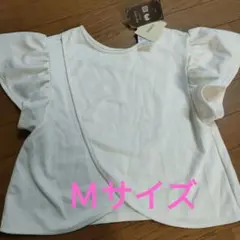 Item thumbnail for item 8ae2b99b-82f8-44b7-ace1-079b492ce965