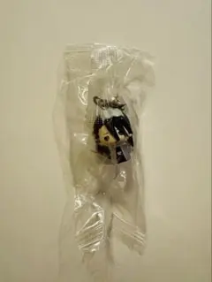 BLEACH 朽木白夜 めじるしアクセサリー トイカプセル