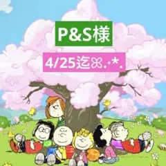 P&S様 専用ページ