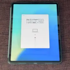 iPad Pro 12.9インチ第5世代 256GB Cellularジャンク