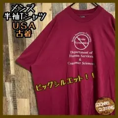 ヴィンテージ USA製 Tシャツ XXXL ワインレッド 半袖 ビッグサイズ
