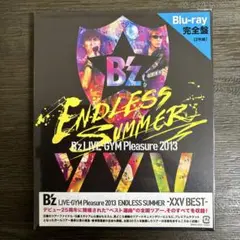 【新品未開封】B'z/Pleasure 2013 ENDLESS …