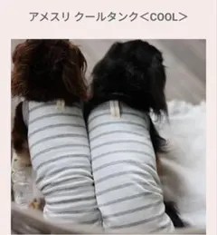 luckyhappy様 リクエスト 3点 まとめ商品