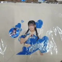 ☆nami☆ SR スーパーレア トートバッグ 埼玉西武BlueLegends - メルカリ