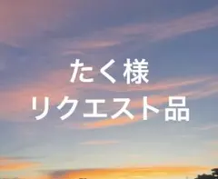 たく様 リクエスト 2点 まとめ商品