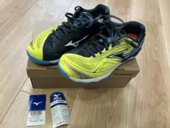 Item thumbnail for item 58f5b4a0-0474-4407-a95e-c34677163c90