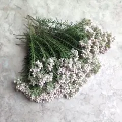 オカメインコ様 リクエスト 2点 まとめ商品