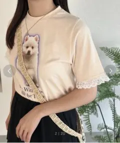 Kutir dogレースTシャツ アイボリー 犬 ミニT フリーサイズ