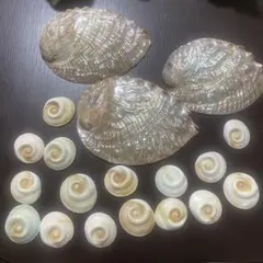 Item thumbnail for item 436b85b6-90b1-4ff3-ac1d-bcd6a76b60c1