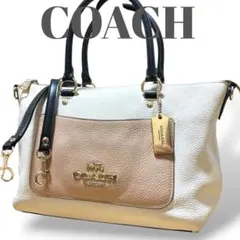 COACH コーチ 73715 2way ショルダー ハンドバッグ レザー シボ