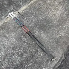 Rossignol スキー用ストック ブラック/ピンク