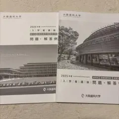 Item thumbnail for item 5db6f57f-a1ed-4d68-a6a9-9cc8b14a5b5d