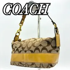 COACH コーチ アクセサリーポーチ ミニバッグ シグネチャー マルチカラー