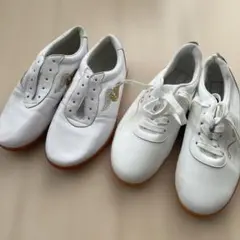 Item thumbnail for item c02dc988-eed1-4e85-b715-c703137ec347