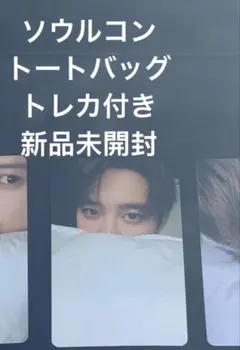 EXO PLANET ソウルコン MD トラベルバックセット ギョンス D.O. - メルカリ