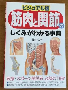 筋肉と関節のしくみがわかる事典 : ビジュアル版
