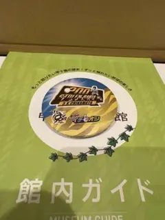 【激レア】阪神タイガース　近本光司選手200盗塁達成 イチオシ缶バッジ