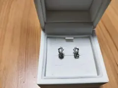 canal 4℃ カナルヨンドシー ダイヤモンド ピアス