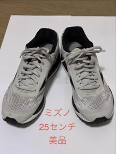 MIZUNO スニーカー 25cmのサムネイル