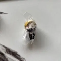 わいわい CR つまんでつなげてマスコット