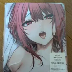 辻中みほ　矢代紗花　抱き枕カバーセット 2025年最新】辻中みほ 抱き枕の人気アイテム - メルカリ