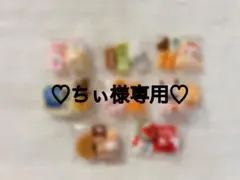 ♡ちぃ様専用♡