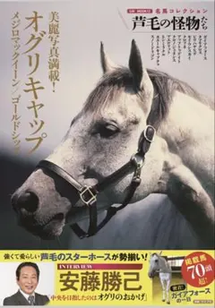 オグリキャップ ヒーロー列伝 ポスター B3 初版銀箔文字 ウマ娘 AVANTI