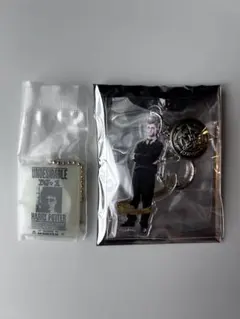 【新品・未開封】 ハリーポッター アクリルチャームコレクション 計２点