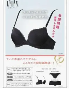 未使用タグ付き！LALAN ブラック 3/4カップブラジャー　D65
