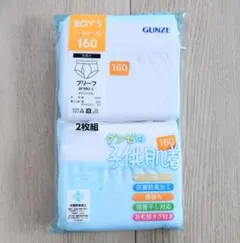 【160】GUNZE 男の子用ブリーフ 2枚組