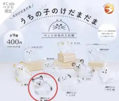 うちの子のけだまだま ペテモ限定 黒柴限定アソート