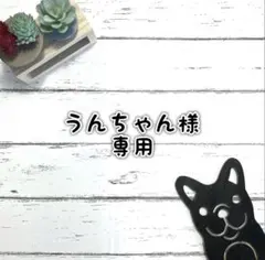 ■うんちゃん様 専用ページ■ リクエスト2点まとめ商品